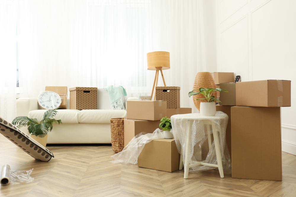 Cardboard,Boxes,,Potted,Plants,And,Household,Stuff,Indoors.,Moving,Day